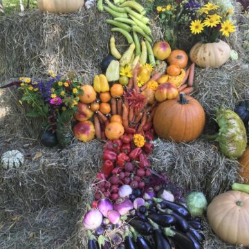 Vegetables